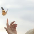 AEDP Psychotherapy